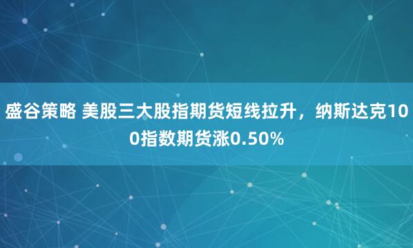 盛谷策略 美股三大股指期货短线拉升，纳斯达克100指数期货涨0.50%