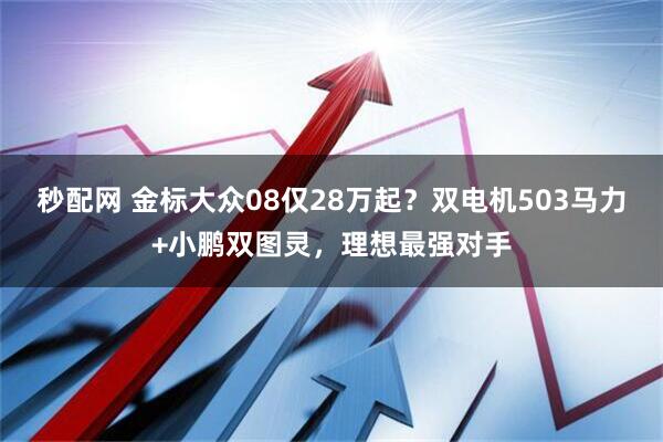 秒配网 金标大众08仅28万起？双电机503马力+小鹏双图灵，理想最强对手