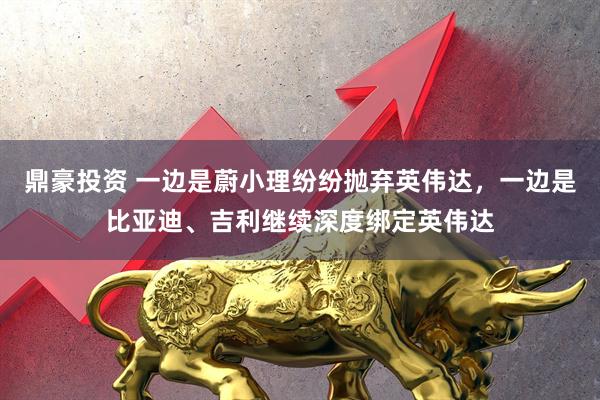 鼎豪投资 一边是蔚小理纷纷抛弃英伟达，一边是比亚迪、吉利继续深度绑定英伟达
