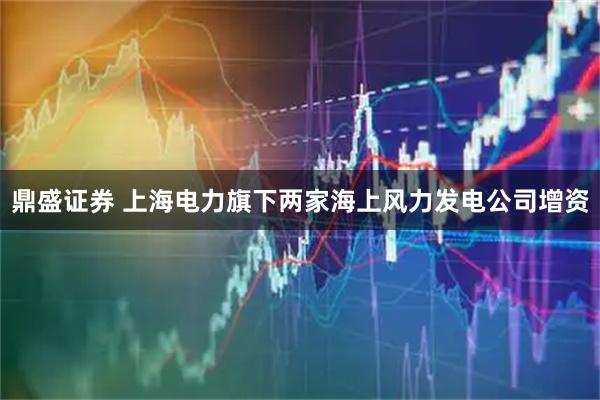 鼎盛证券 上海电力旗下两家海上风力发电公司增资