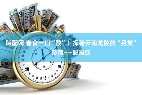 赚配网 春食一口“酸”！探秘云南龙陵的“另类”珍馐——酸蚂蚁