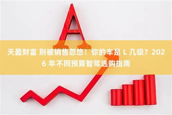 天盈财富 别被销售忽悠！你的车是 L 几级？2026 年不同预算智驾选购指南