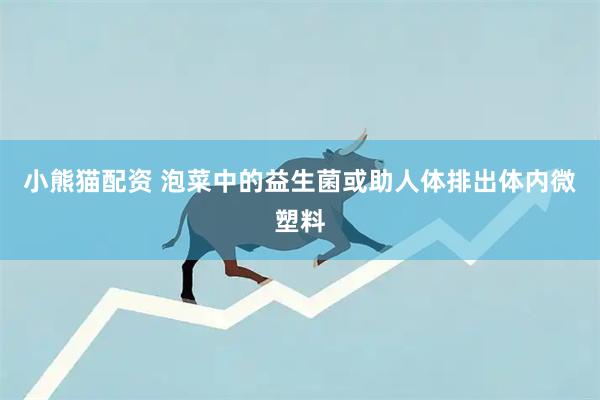 小熊猫配资 泡菜中的益生菌或助人体排出体内微塑料