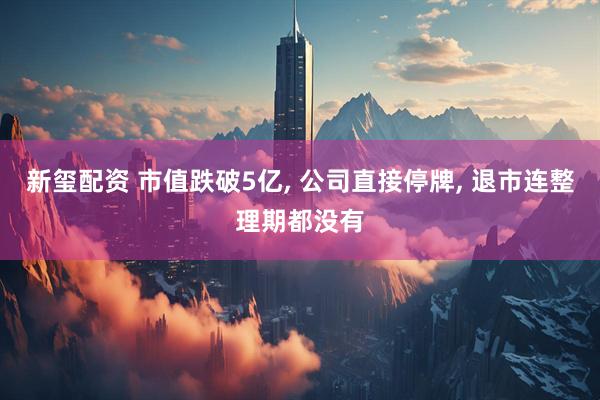 新玺配资 市值跌破5亿, 公司直接停牌, 退市连整理期都没有