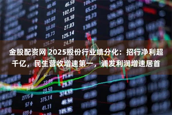 金股配资网 2025股份行业绩分化：招行净利超千亿，民生营收增速第一，浦发利润增速居首