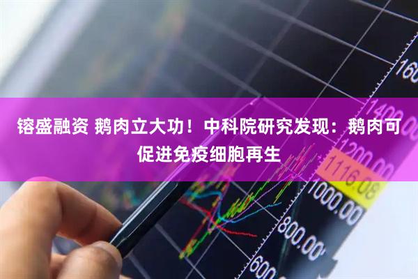 镕盛融资 鹅肉立大功！中科院研究发现：鹅肉可促进免疫细胞再生