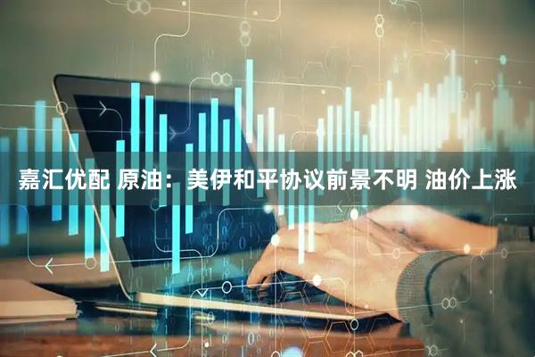 嘉汇优配 原油：美伊和平协议前景不明 油价上涨