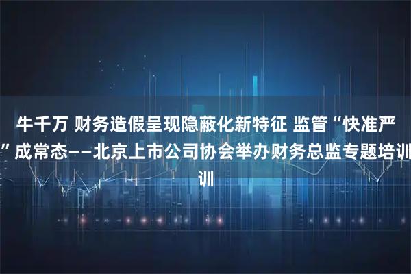 牛千万 财务造假呈现隐蔽化新特征 监管“快准严”成常态——北京上市公司协会举办财务总监专题培训