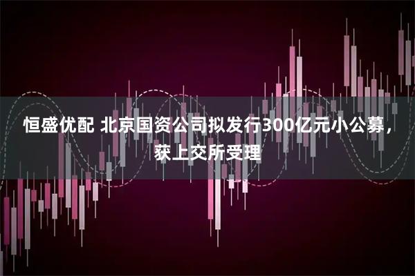 恒盛优配 北京国资公司拟发行300亿元小公募,获上交所受理
