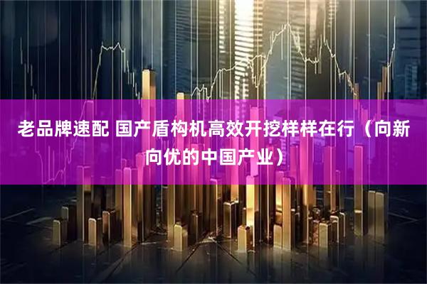 老品牌速配 国产盾构机高效开挖样样在行(向新向优的中国产业)