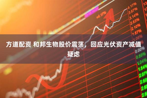 方道配资 和邦生物股价震荡，回应光伏资产减值疑虑