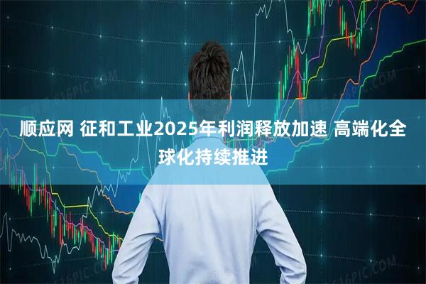 顺应网 征和工业2025年利润释放加速 高端化全球化持续推进