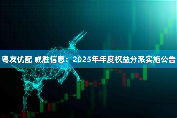 粤友优配 威胜信息：2025年年度权益分派实施公告
