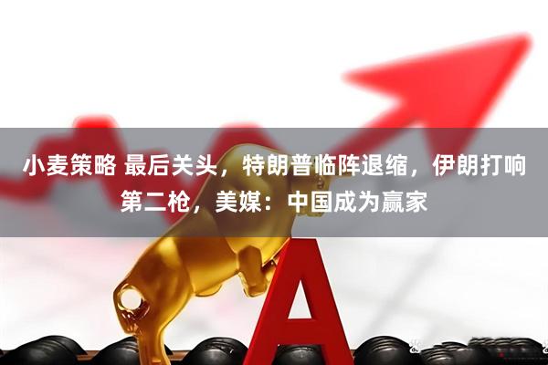 小麦策略 最后关头,特朗普临阵退缩,伊朗打响第二枪,美媒:中国成为赢家
