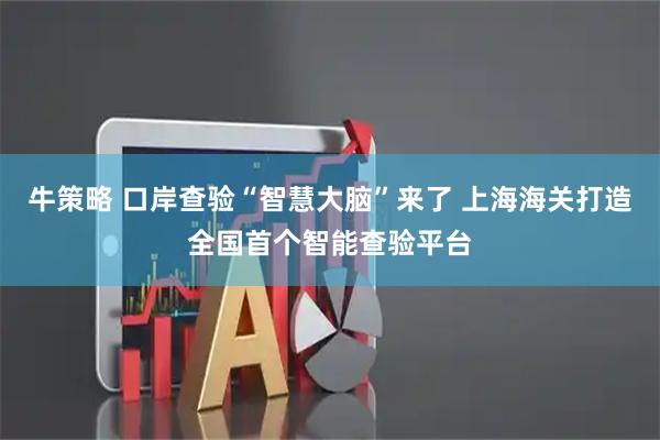 牛策略 口岸查验“智慧大脑”来了 上海海关打造全国首个智能查验平台