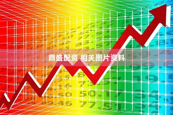 鼎盛配资 相关图片资料