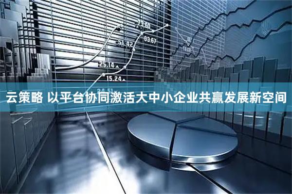 云策略 以平台协同激活大中小企业共赢发展新空间